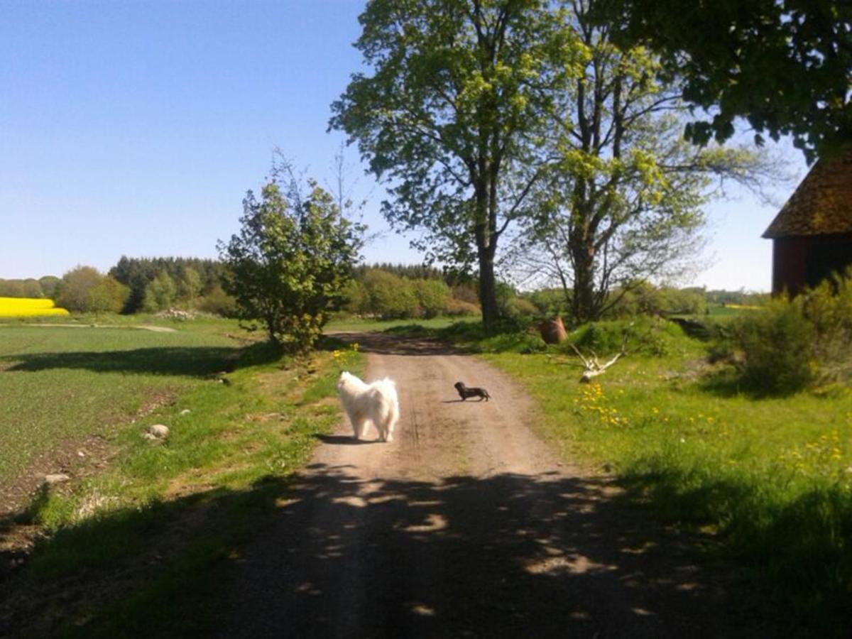 斯道图普住宿加早餐旅馆 Skåne-Tranås 外观 照片
